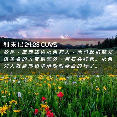 Picture 02 - 利 未 记 24:23 CUVS - 於 是 ， 摩 西 晓 谕 以 色 列 人 ， - Bible Verse Picture