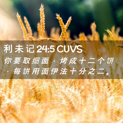 Picture 02 - 利 未 记 24:5 CUVS - 你 要 取 细 面 ， 烤 成 十 二 个 饼 - Bible Verse Picture