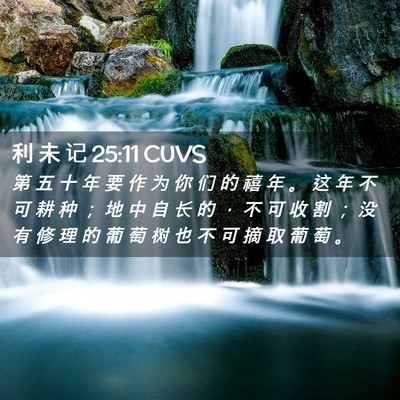 Picture 02 - 利 未 记 25:11 CUVS - 第 五 十 年 要 作 为 你 们 的 禧 年 - Bible Verse Picture