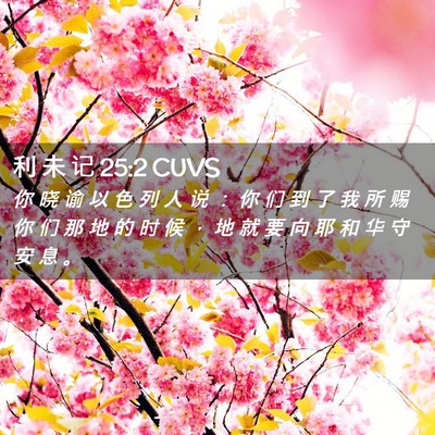 Picture 02 - 利 未 记 25:2 CUVS - 你 晓 谕 以 色 列 人 说 ： 你 们 到 - Bible Verse Picture