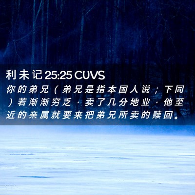 Picture 02 - 利 未 记 25:25 CUVS - 你 的 弟 兄 （ 弟 兄 是 指 本 国 人 - Bible Verse Picture