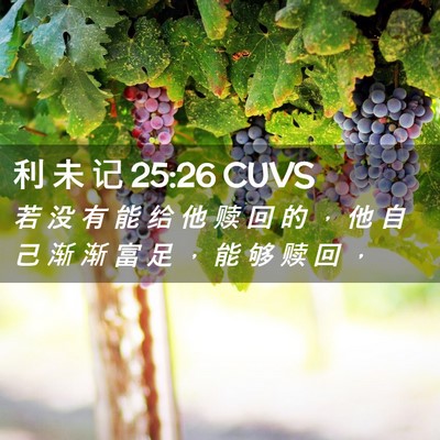 Picture 02 - 利 未 记 25:26 CUVS - 若 没 有 能 给 他 赎 回 的 ， 他 自 - Bible Verse Picture