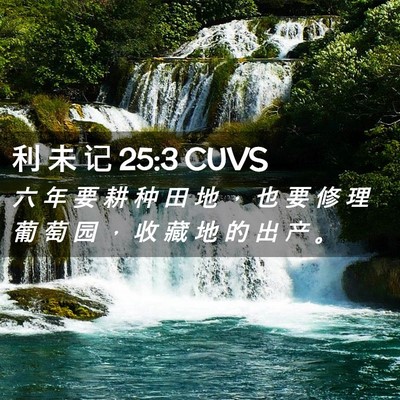 Picture 02 - 利 未 记 25:3 CUVS - 六 年 要 耕 种 田 地 ， 也 要 修 理 - Bible Verse Picture