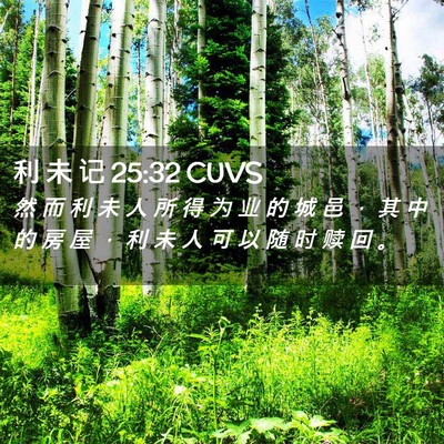 Picture 02 - 利 未 记 25:32 CUVS - 然 而 利 未 人 所 得 为 业 的 城 邑 - Bible Verse Picture