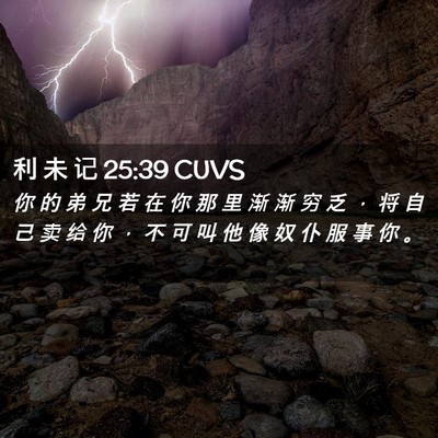 Picture 02 - 利 未 记 25:39 CUVS - 你 的 弟 兄 若 在 你 那 里 渐 渐 穷 - Bible Verse Picture