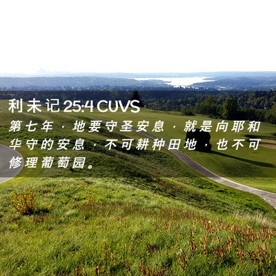 Picture 02 - 利 未 记 25:4 CUVS - 第 七 年 ， 地 要 守 圣 安 息 ， 就 - Bible Verse Picture