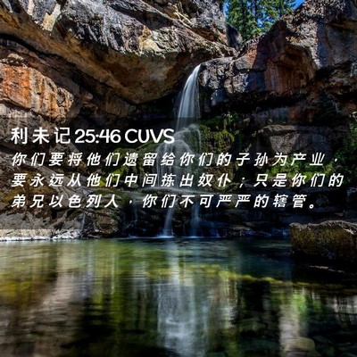 Picture 02 - 利 未 记 25:46 CUVS - 你 们 要 将 他 们 遗 留 给 你 们 的 - Bible Verse Picture