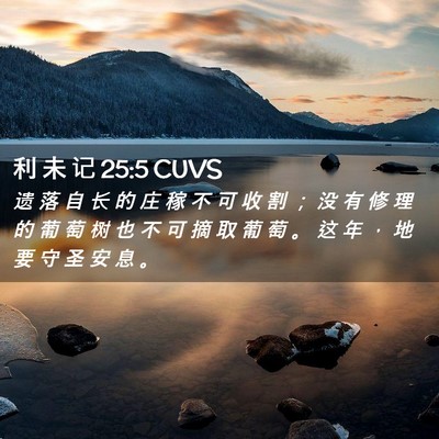 Picture 02 - 利 未 记 25:5 CUVS - 遗 落 自 长 的 庄 稼 不 可 收 割 ； - Bible Verse Picture