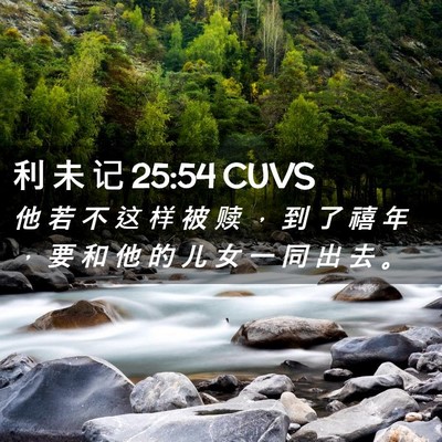 Picture 02 - 利 未 记 25:54 CUVS - 他 若 不 这 样 被 赎 ， 到 了 禧 年 - Bible Verse Picture