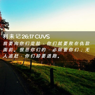 Picture 02 - 利 未 记 26:17 CUVS - 我 要 向 你 们 变 脸 ， 你 们 就 要 - Bible Verse Picture