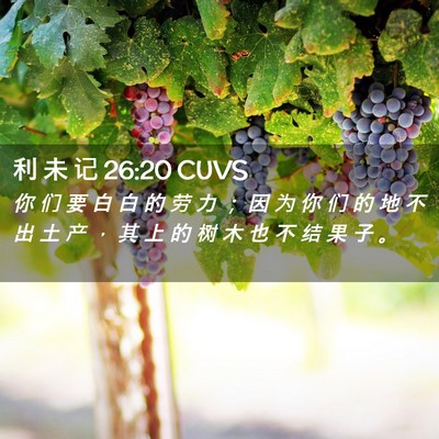 Picture 02 - 利 未 记 26:20 CUVS - 你 们 要 白 白 的 劳 力 ； 因 为 你 - Bible Verse Picture