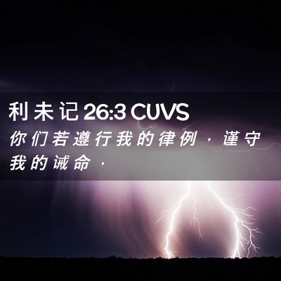 Picture 02 - 利 未 记 26:3 CUVS - 你 们 若 遵 行 我 的 律 例 ， 谨 守 - Bible Verse Picture