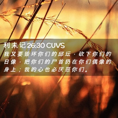 Picture 02 - 利 未 记 26:30 CUVS - 我 又 要 毁 坏 你 们 的 邱 坛 ， 砍 - Bible Verse Picture