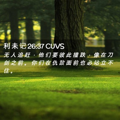 Picture 02 - 利 未 记 26:37 CUVS - 无 人 追 赶 ， 他 们 要 彼 此 撞 跌 - Bible Verse Picture