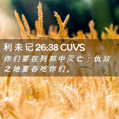 Picture 02 - 利 未 记 26:38 CUVS - 你 们 要 在 列 邦 中 灭 亡 ； 仇 敌 - Bible Verse Picture
