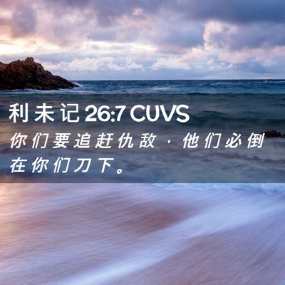Picture 02 - 利 未 记 26:7 CUVS - 你 们 要 追 赶 仇 敌 ， 他 们 必 倒 - Bible Verse Picture