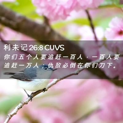 Picture 02 - 利 未 记 26:8 CUVS - 你 们 五 个 人 要 追 赶 一 百 人 ， - Bible Verse Picture