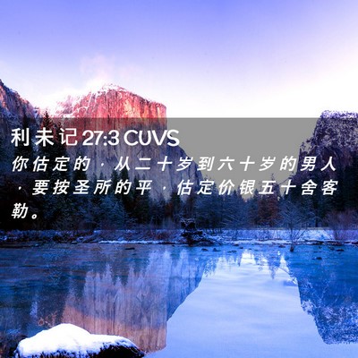 Picture 02 - 利 未 记 27:3 CUVS - 你 估 定 的 ， 从 二 十 岁 到 六 十 - Bible Verse Picture
