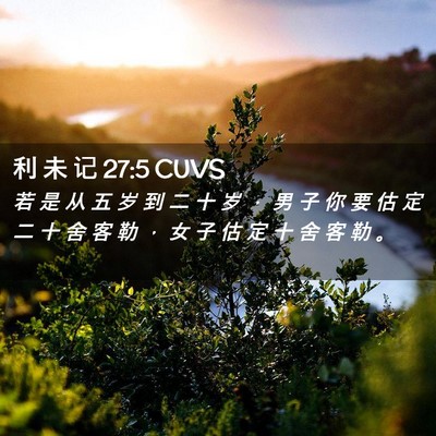 Picture 02 - 利 未 记 27:5 CUVS - 若 是 从 五 岁 到 二 十 岁 ， 男 子 - Bible Verse Picture