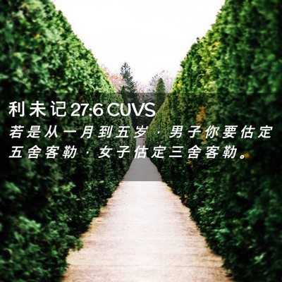 Picture 02 - 利 未 记 27:6 CUVS - 若 是 从 一 月 到 五 岁 ， 男 子 你 - Bible Verse Picture