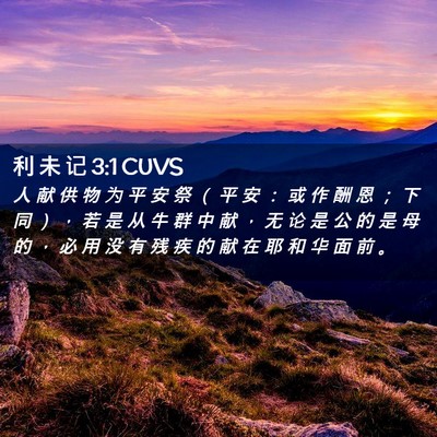 Picture 02 - 利 未 记 3:1 CUVS - 人 献 供 物 为 平 安 祭 （ 平 安 ： - Bible Verse Picture