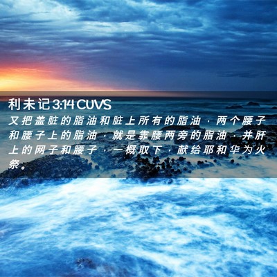 Picture 02 - 利 未 记 3:14 CUVS - 又 把 盖 脏 的 脂 油 和 脏 上 所 有 - Bible Verse Picture