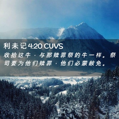 Picture 02 - 利 未 记 4:20 CUVS - 收 拾 这 牛 ， 与 那 赎 罪 祭 的 牛 - Bible Verse Picture