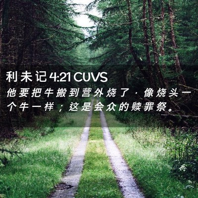 Picture 02 - 利 未 记 4:21 CUVS - 他 要 把 牛 搬 到 营 外 烧 了 ， 像 - Bible Verse Picture