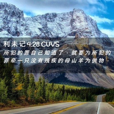 Picture 02 - 利 未 记 4:28 CUVS - 所 犯 的 罪 自 己 知 道 了 ， 就 要 - Bible Verse Picture
