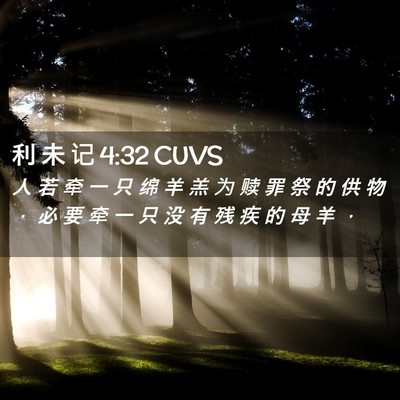Picture 02 - 利 未 记 4:32 CUVS - 人 若 牵 一 只 绵 羊 羔 为 赎 罪 祭 - Bible Verse Picture