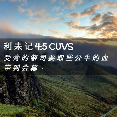 Picture 02 - 利 未 记 4:5 CUVS - 受 膏 的 祭 司 要 取 些 公 牛 的 血 - Bible Verse Picture