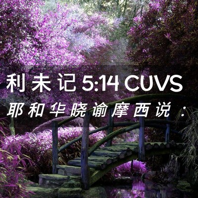 Picture 02 - 利 未 记 5:14 CUVS - 耶 和 华 晓 谕 摩 西 说 - Bible Verse Picture