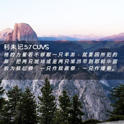 Picture 02 - 利 未 记 5:7 CUVS - 他 的 力 量 若 不 够 献 一 只 羊 羔 - Bible Verse Picture