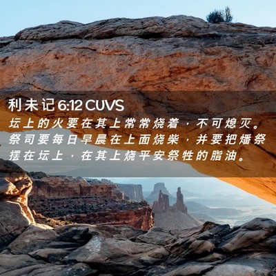 Picture 02 - 利 未 记 6:12 CUVS - 坛 上 的 火 要 在 其 上 常 常 烧 着 - Bible Verse Picture