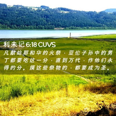 Picture 02 - 利 未 记 6:18 CUVS - 凡 献 给 耶 和 华 的 火 祭 ， 亚 伦 - Bible Verse Picture