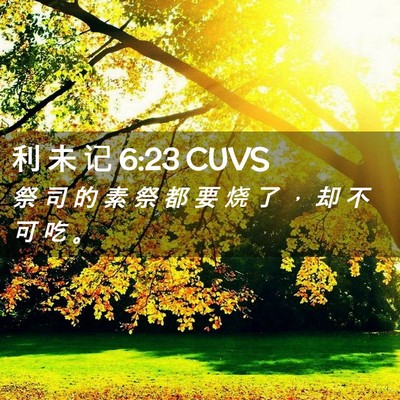 Picture 02 - 利 未 记 6:23 CUVS - 祭 司 的 素 祭 都 要 烧 了 ， 却 不 - Bible Verse Picture