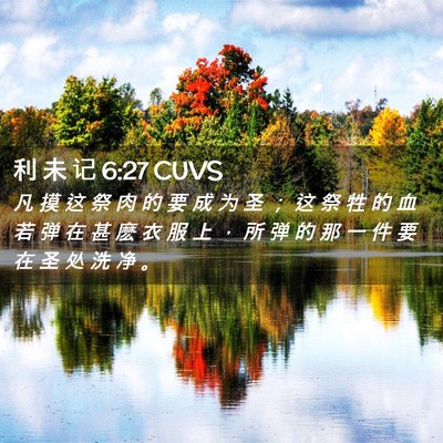 Picture 02 - 利 未 记 6:27 CUVS - 凡 摸 这 祭 肉 的 要 成 为 圣 ； 这 - Bible Verse Picture