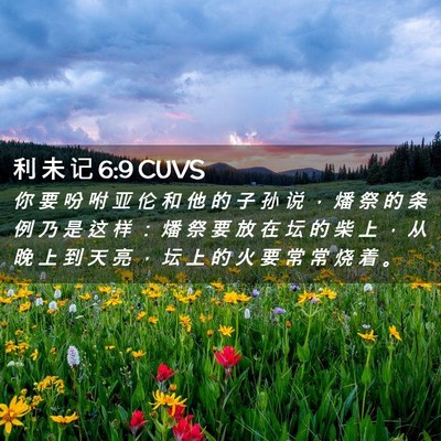 Picture 02 - 利 未 记 6:9 CUVS - 你 要 吩 咐 亚 伦 和 他 的 子 孙 说 - Bible Verse Picture