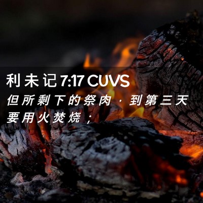 Picture 02 - 利 未 记 7:17 CUVS - 但 所 剩 下 的 祭 肉 ， 到 第 三 天 - Bible Verse Picture