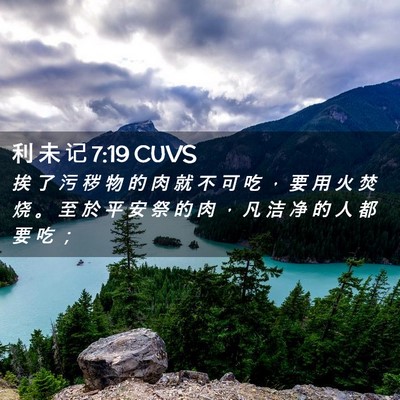 Picture 02 - 利 未 记 7:19 CUVS - 挨 了 污 秽 物 的 肉 就 不 可 吃 ， - Bible Verse Picture
