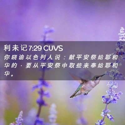 Picture 02 - 利 未 记 7:29 CUVS - 你 晓 谕 以 色 列 人 说 ： 献 平 安 - Bible Verse Picture