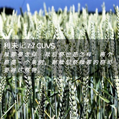 Picture 02 - 利 未 记 7:7 CUVS - 赎 罪 祭 怎 样 ， 赎 愆 祭 也 是 怎 - Bible Verse Picture