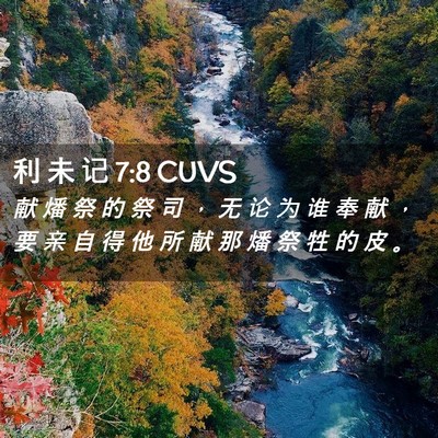 Picture 02 - 利 未 记 7:8 CUVS - 献 燔 祭 的 祭 司 ， 无 论 为 谁 奉 - Bible Verse Picture