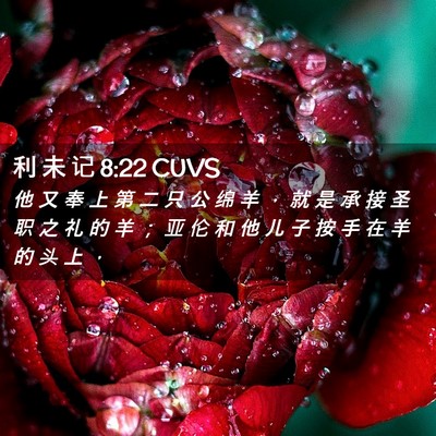 Picture 02 - 利 未 记 8:22 CUVS - 他 又 奉 上 第 二 只 公 绵 羊 ， 就 - Bible Verse Picture