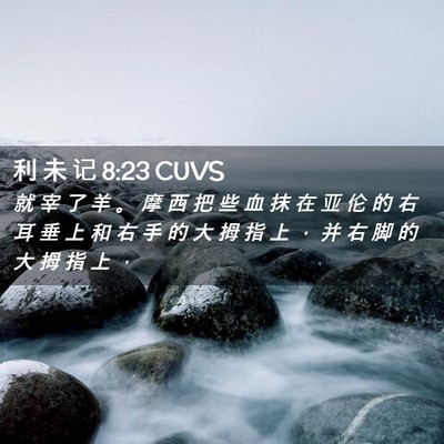 Picture 02 - 利 未 记 8:23 CUVS - 就 宰 了 羊 。 摩 西 把 些 血 抹 在 - Bible Verse Picture