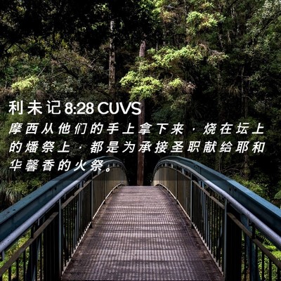 Picture 02 - 利 未 记 8:28 CUVS - 摩 西 从 他 们 的 手 上 拿 下 来 ， - Bible Verse Picture