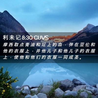 Picture 02 - 利 未 记 8:30 CUVS - 摩 西 取 点 膏 油 和 坛 上 的 血 ， - Bible Verse Picture