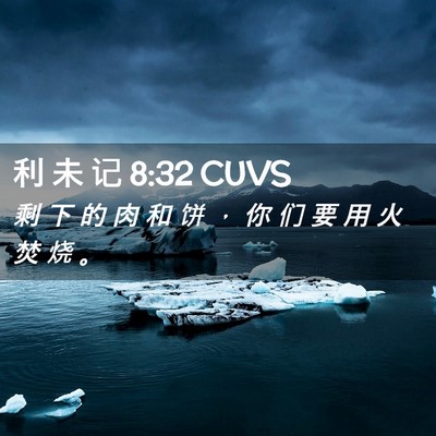 Picture 02 - 利 未 记 8:32 CUVS - 剩 下 的 肉 和 饼 ， 你 们 要 用 火 - Bible Verse Picture