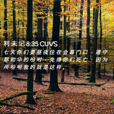 Picture 02 - 利 未 记 8:35 CUVS - 七 天 你 们 要 昼 夜 住 在 会 幕 门 - Bible Verse Picture