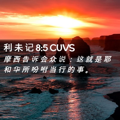 Picture 02 - 利 未 记 8:5 CUVS - 摩 西 告 诉 会 众 说 ： 这 就 是 耶 - Bible Verse Picture
